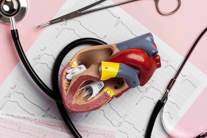 Лечение заболеваний сердечно-сосудистой системы в санатории