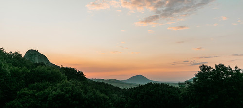Проживание в окружении букового леса